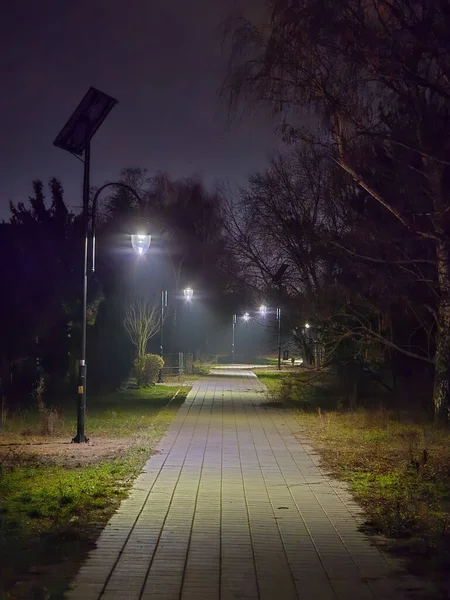 Gece yarısı fenerlerle parkta.