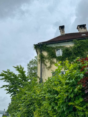 Bulutlu bir gökyüzünün altında sarmaşık kaplı bir bina.