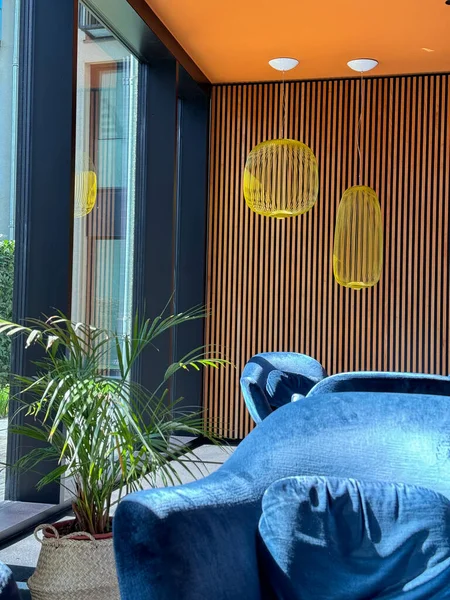 Rahat koltuğu olan modern bir oda.