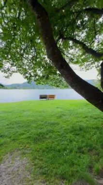 Dağ gölünde boş bir bank.