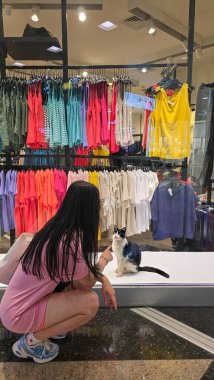 Mağaza vitrininin arkasındaki kediye hayran olan bir kadın.