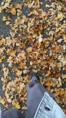 Sarı sonbahar yapraklarıyla kaplı asfaltta yürüyen ayaklar.