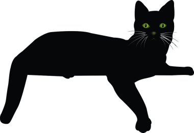 Kara kedi 14 vektör görüntü