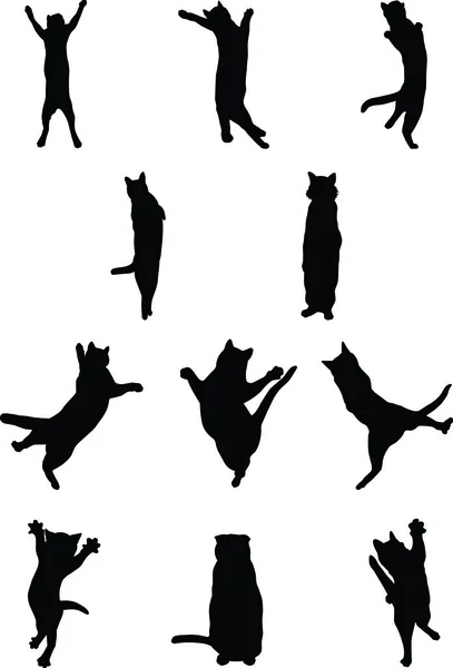 Vektör görüntü siyah kedi 3