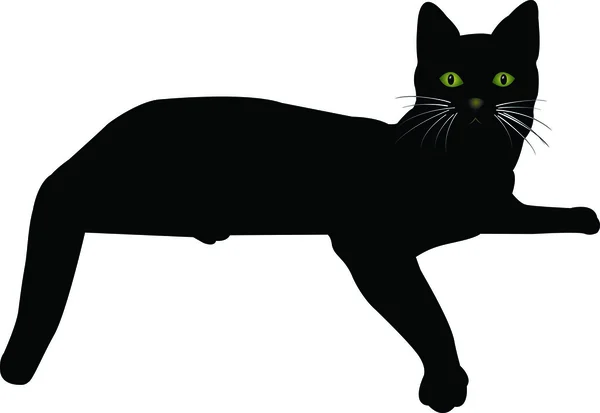 Imagen vectorial de un gato negro 14 — Vector de stock