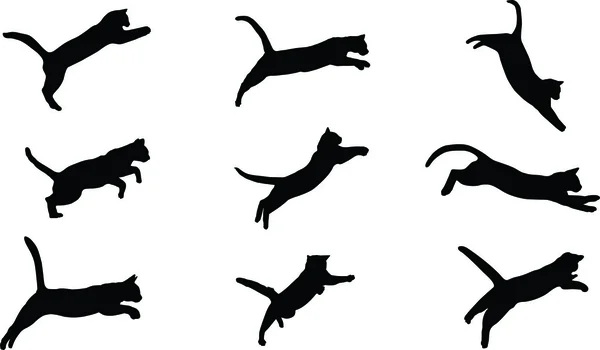 Vektör görüntü bir siyah 5 cats