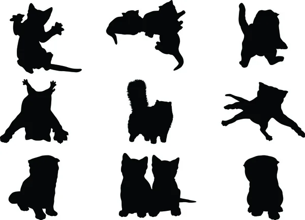 Vektör görüntü bir siyah 6 kedi