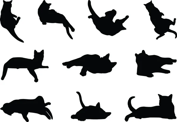 4 vektör görüntü bir siyah kedi