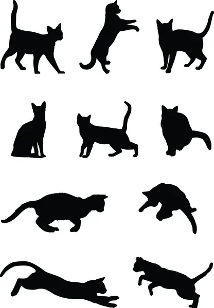 Imagen vectorial de un gato negro 2 — Archivo Imágenes Vectoriales