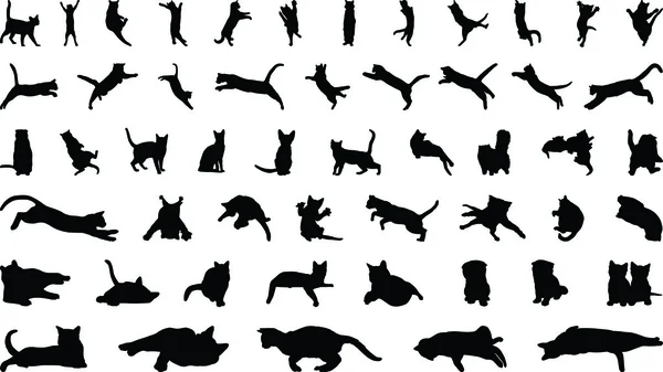 1 vektör görüntü bir siyah kedi