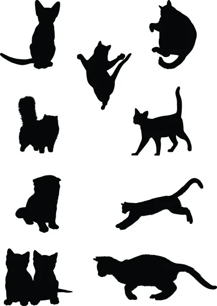 Imagen vectorial de un gato negro 7 — Archivo Imágenes Vectoriales