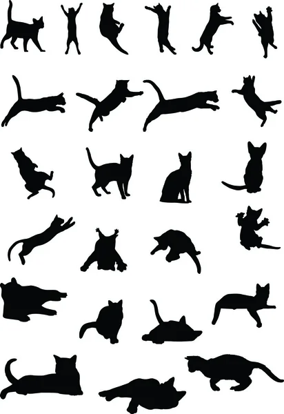 Vektör görüntü bir siyah 9 kediler