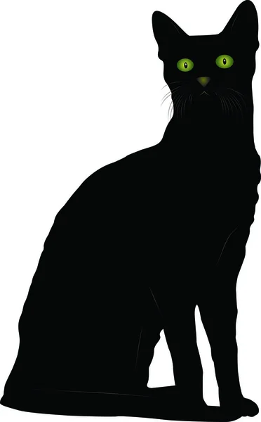 Imagen vectorial de un gato negro 20 — Vector de stock