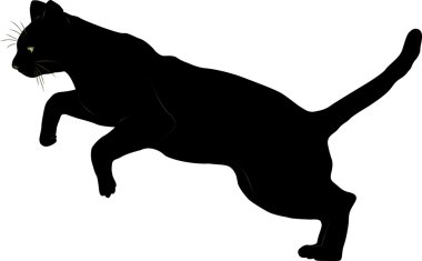 Kara kedi 26 vektör görüntü