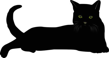Kara kedi 17 vektör görüntü