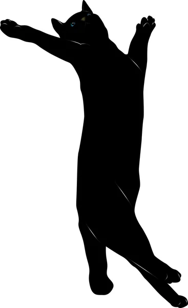 Kara kedi 25 vektör görüntü