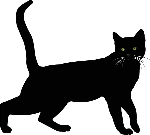 Kara kedi 13 vektör görüntü