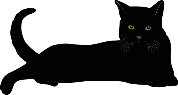 Kara kedi 17 vektör görüntü