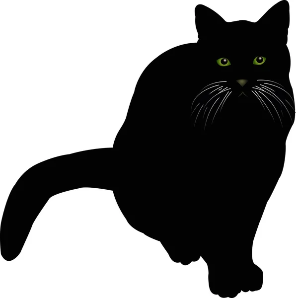 Imagem vetorial de um gato preto 15 — Vetor de Stock