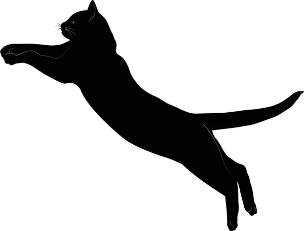 Vektör görüntü siyah kedi 27