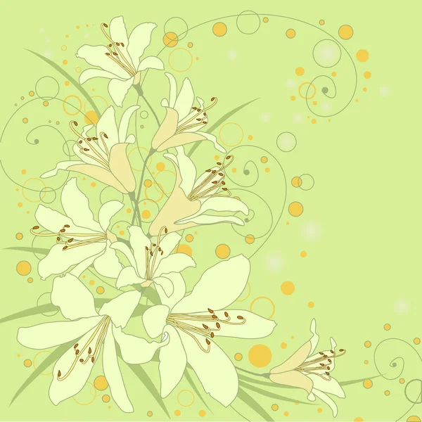 lilyum çiçek arka plan