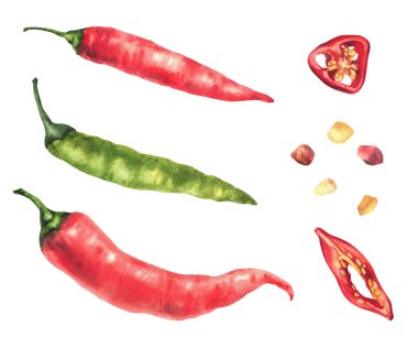 Acı biber seti. Suluboya yeşil ve bütün sebzeler ve tohumlarla dilimlenmiş tohumlar. El çizimi çizimleri. Baharatlı biber, yemek için baharat, menü. Arka plandan izole edilmiş
