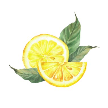 Yeşil yapraklarla dilimlenmiş limon. Sarı turunçgil taze limon ve sulu dilimler keser. Gerçekçi suluboya el çizimi illüstrasyon içecek menüsü için Clipart, kozmetik etiket arkaplandan izole