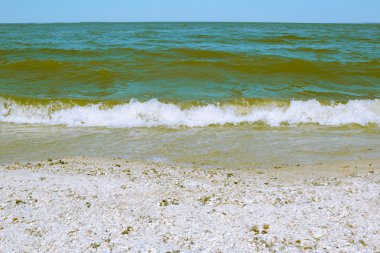 Kumlu bir sahilde deniz dalgası