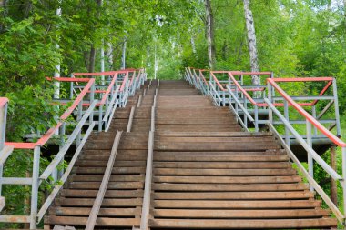Ormanın içinden merdiven