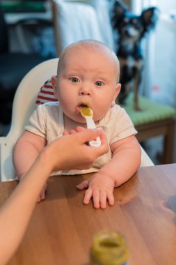 erkek bebek bir sandalyeye oturur ve yeme 
