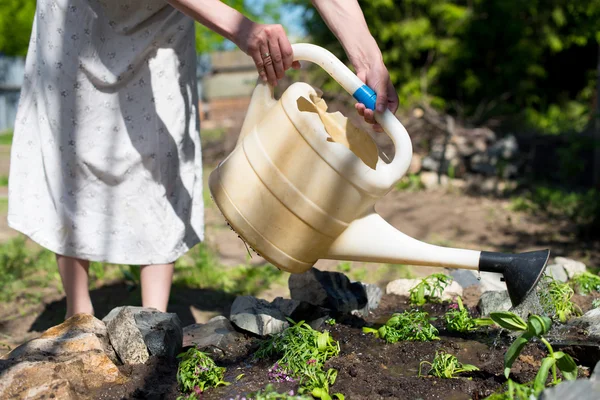 Girl watering flowers in a garden — Stock Photo, Image