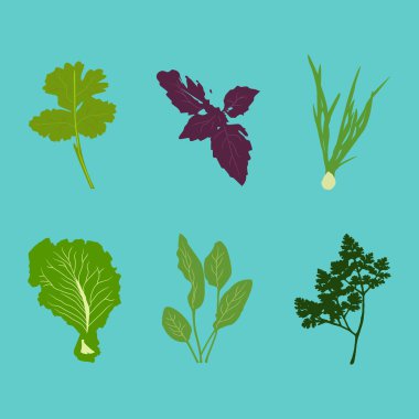 Vektör sebze düz Stil kümesi