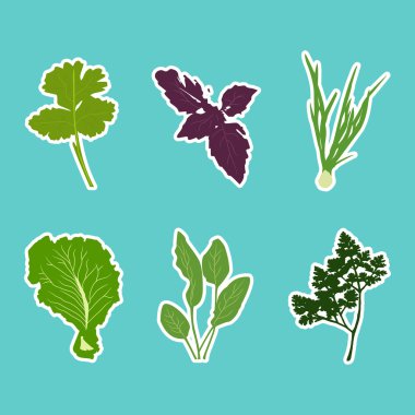 Düz çizgi film sebze çıkartmaları kümesi vektör.