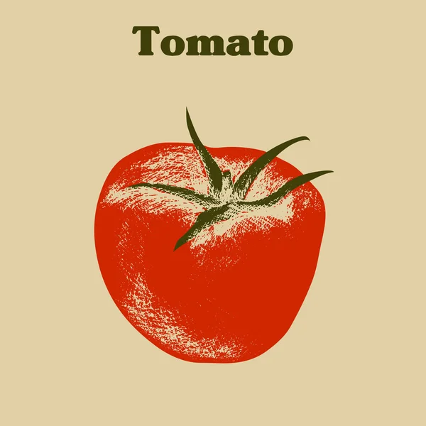 Vector vintage tomate grunge dibujado a mano . — Vector de stock