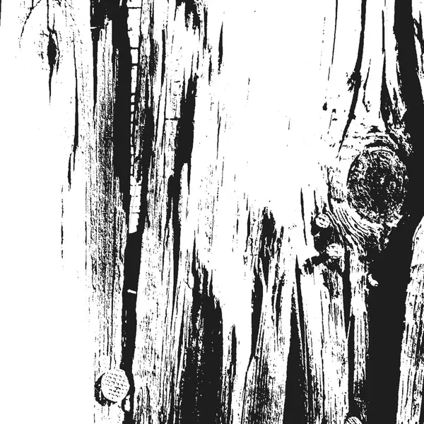 Baumtextur .tree Hintergrund. Baumeffekt . — Stockvektor