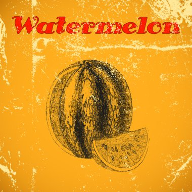 Beyaz arka plan üzerinde izole el çizilmiş avokado Büyük koleksiyonu.