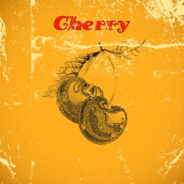 Beyaz arka plan üzerinde izole el çizilmiş avokado Büyük koleksiyonu.