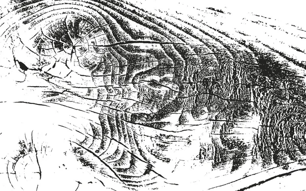 Sobreposição angustiada textura da casca de madeira — Vetor de Stock