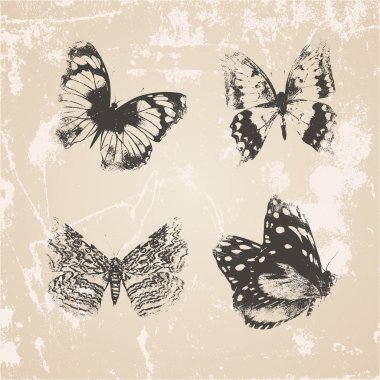 Grunge siluetleri beyaz arka plan üzerinde kelebekler. Vektör set