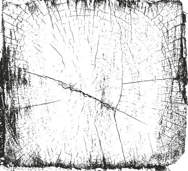 Nödställda overlay trä bark textur — Stock vektor
