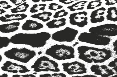 Doğal deri kaplamasının sıkıntılı dokusu