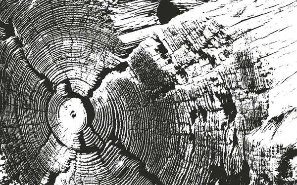 Superposición angustiada textura de corteza de madera — Archivo Imágenes Vectoriales