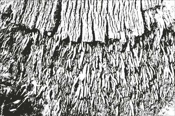 Сжатая текстура деревянной коры — стоковый вектор