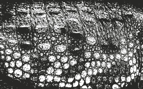 Sobreposição angustiada textura da casca de madeira —  Vetores de Stock