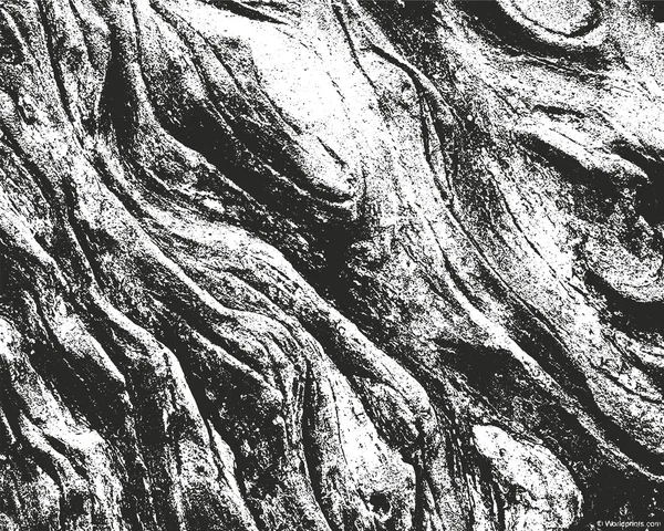 Texture en bois d'écorce de superposition perturbée — Image vectorielle