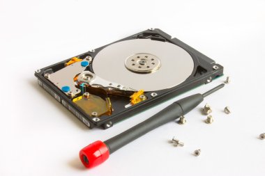HDD onarım tornavida ve beyaz zemin üzerine vida
