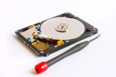 HDD onarım tornavida ve beyaz zemin üzerine vida