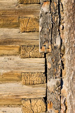 duvar duvar yuvarlak günlüğü