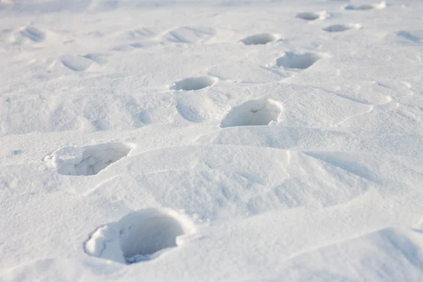 Voetafdrukken op witte sneeuw bij zonsondergang — Stockfoto