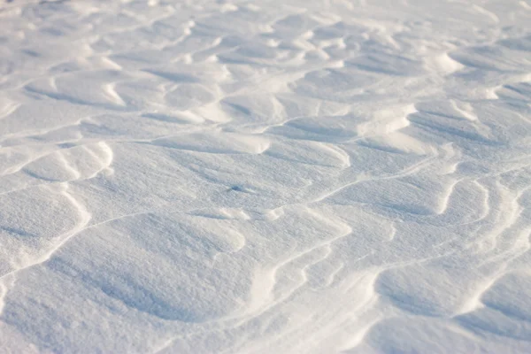 Sfondo onde di neve al tramonto dal vento — Foto Stock